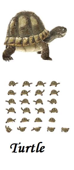 pimp boy 3 billion, arab 3d, Turtle with quality image , white background, image by gamingpot, free sprite sheets tortoise sprite