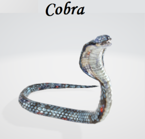 3D animated cobra, 