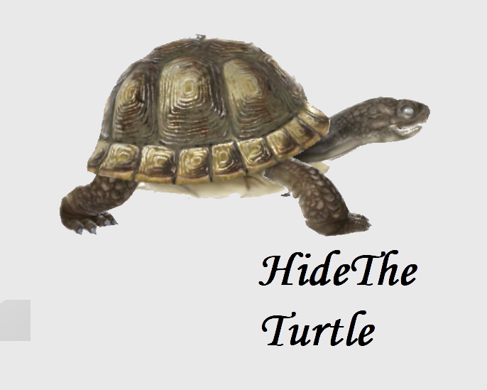 3d animated turtle